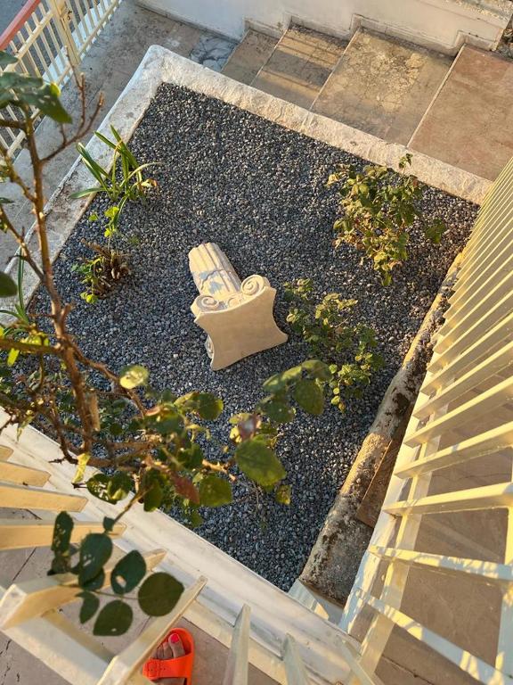 Ogród w obiekcie MARIALINA NAFPLIO