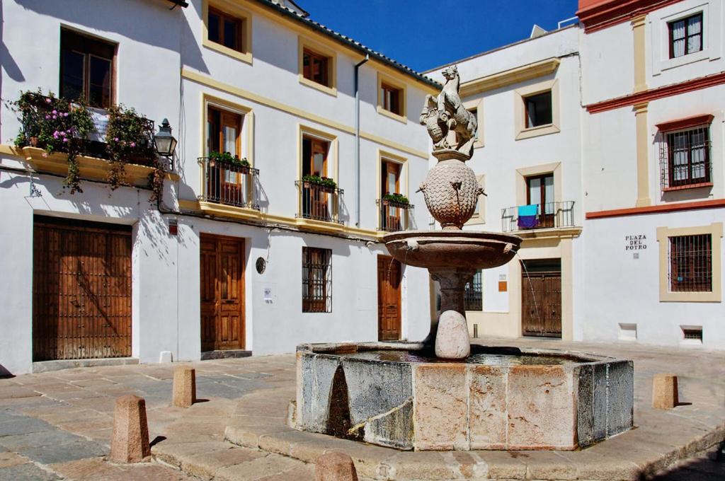 Apartamento Badanas - 18