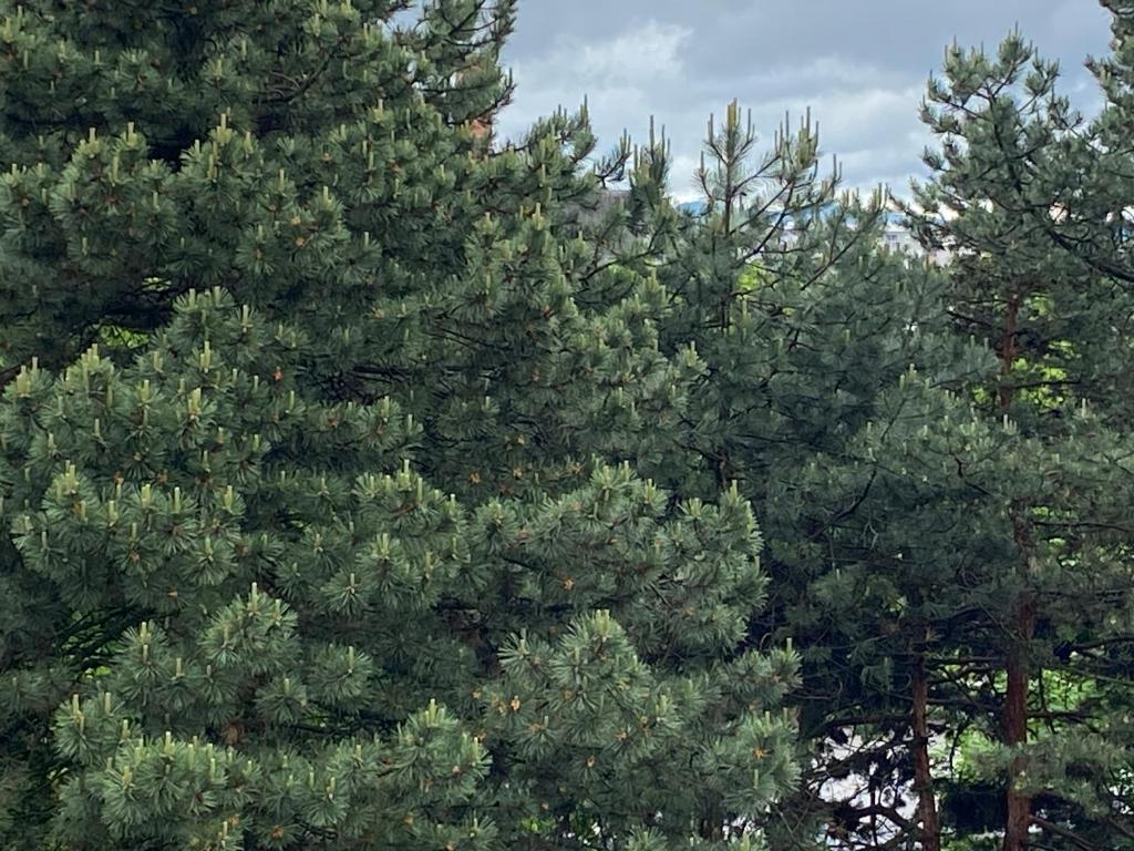 Apartment in the city center - 12