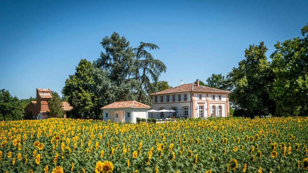 dom w środku pola słoneczników w obiekcie Gite ANDA- piscine- Montauban - Lacourt-Saint-Pierre w mieście Lacourt-Saint-Pierre