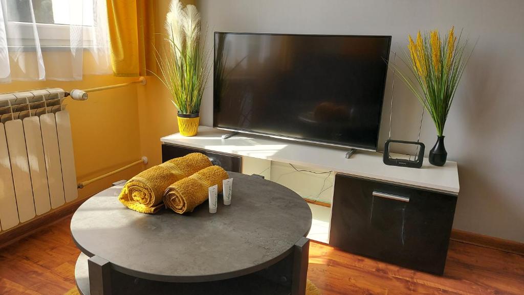 Televízia a/alebo spoločenská miestnosť v ubytovaní Neso