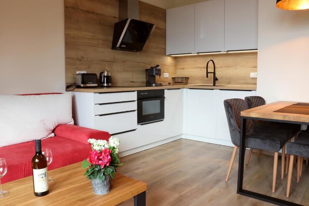 Kuchyň nebo kuchyňský kout v ubytování Apartmány Perla - Hotel Říčky