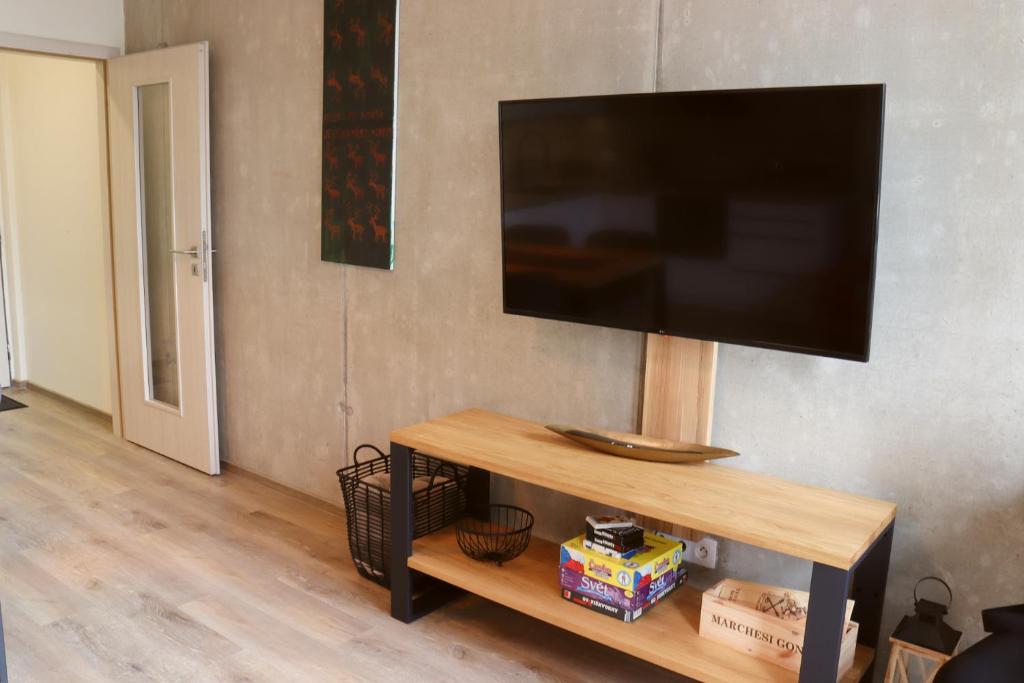 TV a/nebo společenská místnost v ubytování Apartmány Perla - Hotel Říčky
