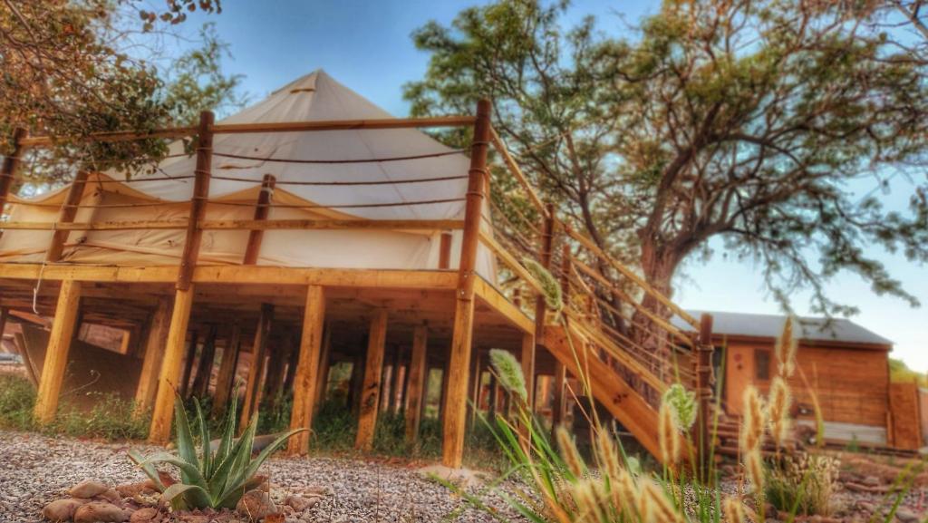 Zahrada ubytování Glamping Dunas del sol