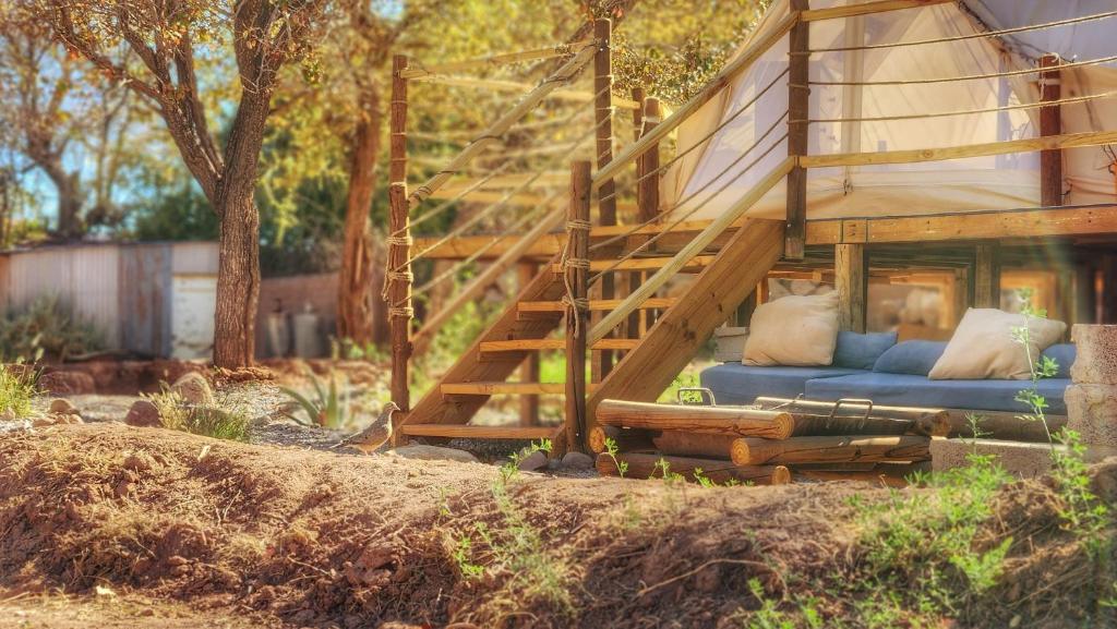 Zahrada ubytování Glamping Dunas del sol