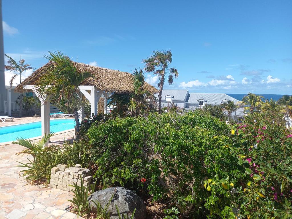 Bazén v ubytování TIKO LODGE SXM nebo v jeho okolí