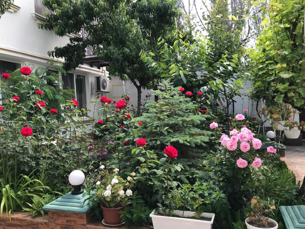 a garden filled with flowers in front of a house at Vilari Odessa in Odesa