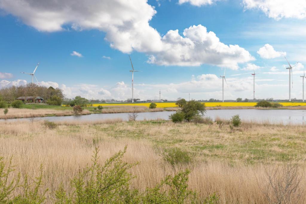 Příroda nedaleko prázdninového domu