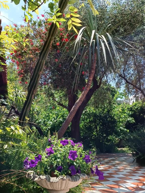 A garden outside B&B Villa Lidia