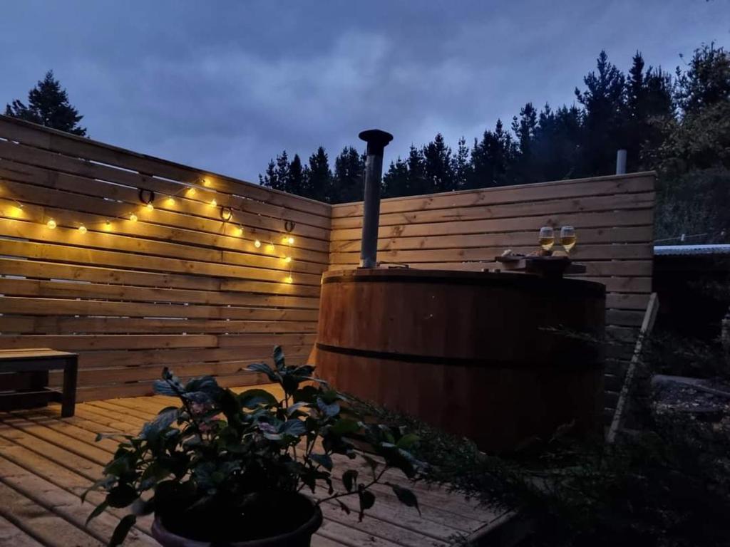 Cabañas Antü Küyen Melipeuco 01