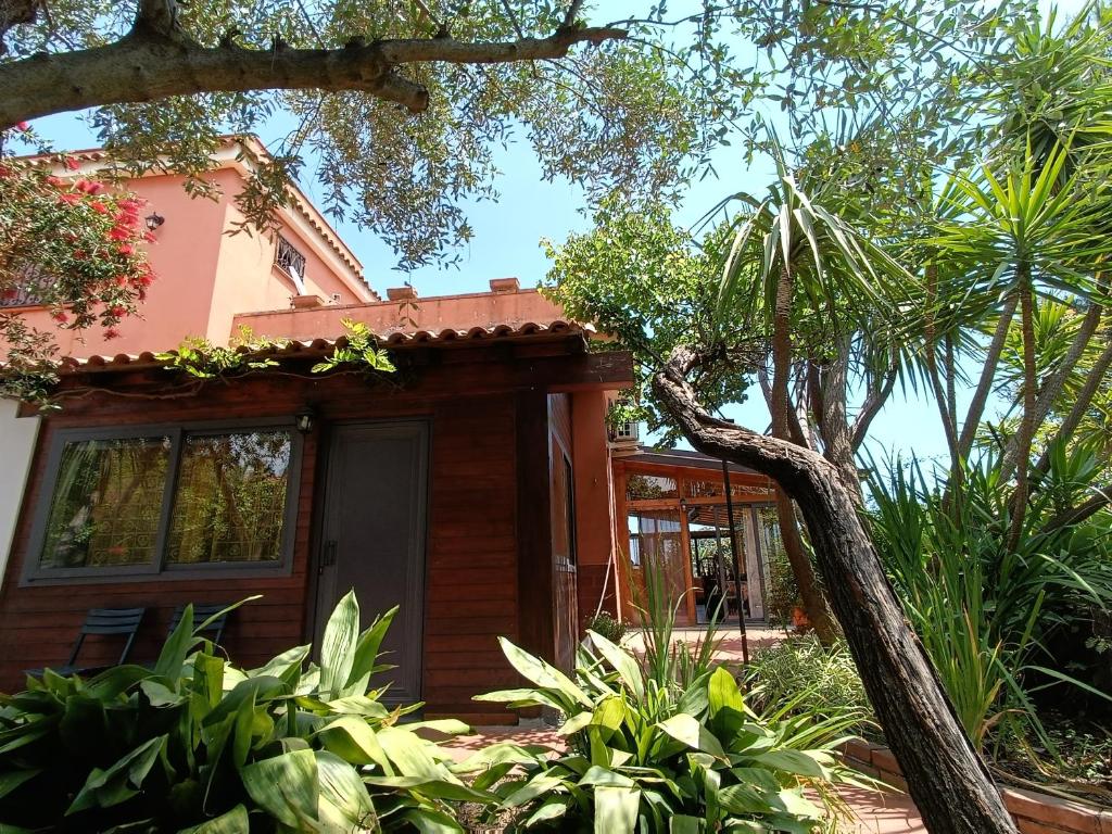 A garden outside B&B Villa Lidia