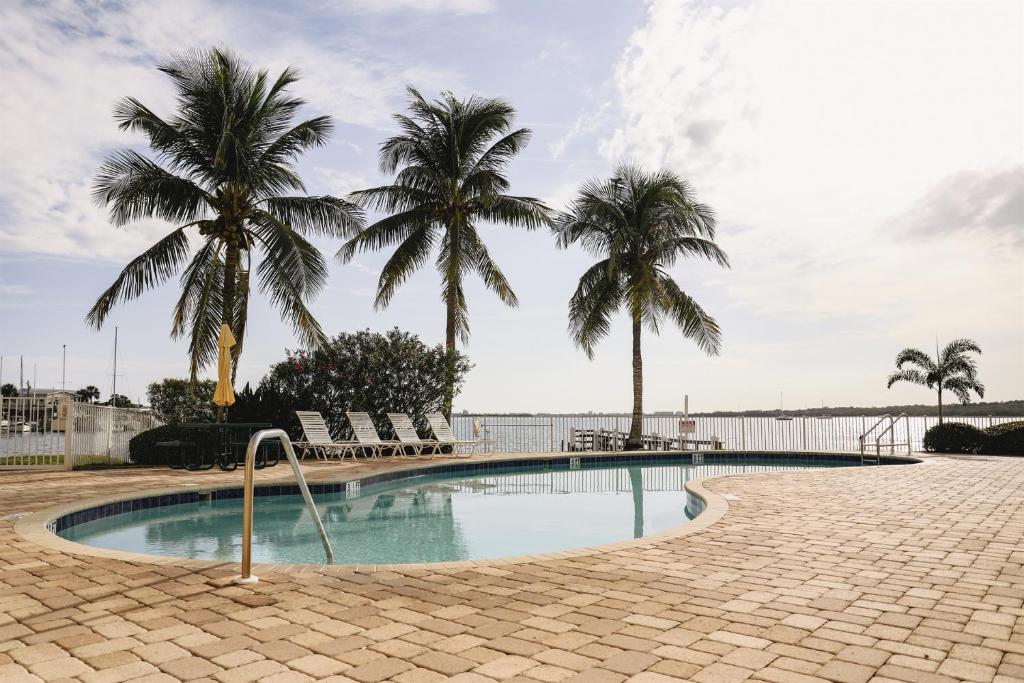 a swimming pool with palm trees in the background at Dolphin Bay in Boca Ciega Resort - 2BR, Pool, Bay View in St Petersburg