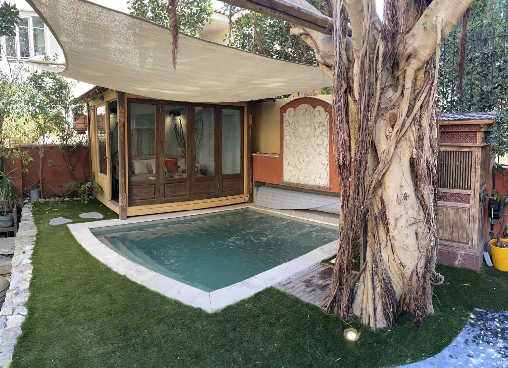 ein Haus mit einem Pool neben einem Baum in der Unterkunft VILLA 3 BEDROOMS BEAULIEU SUR MER in Beaulieu-sur-Mer