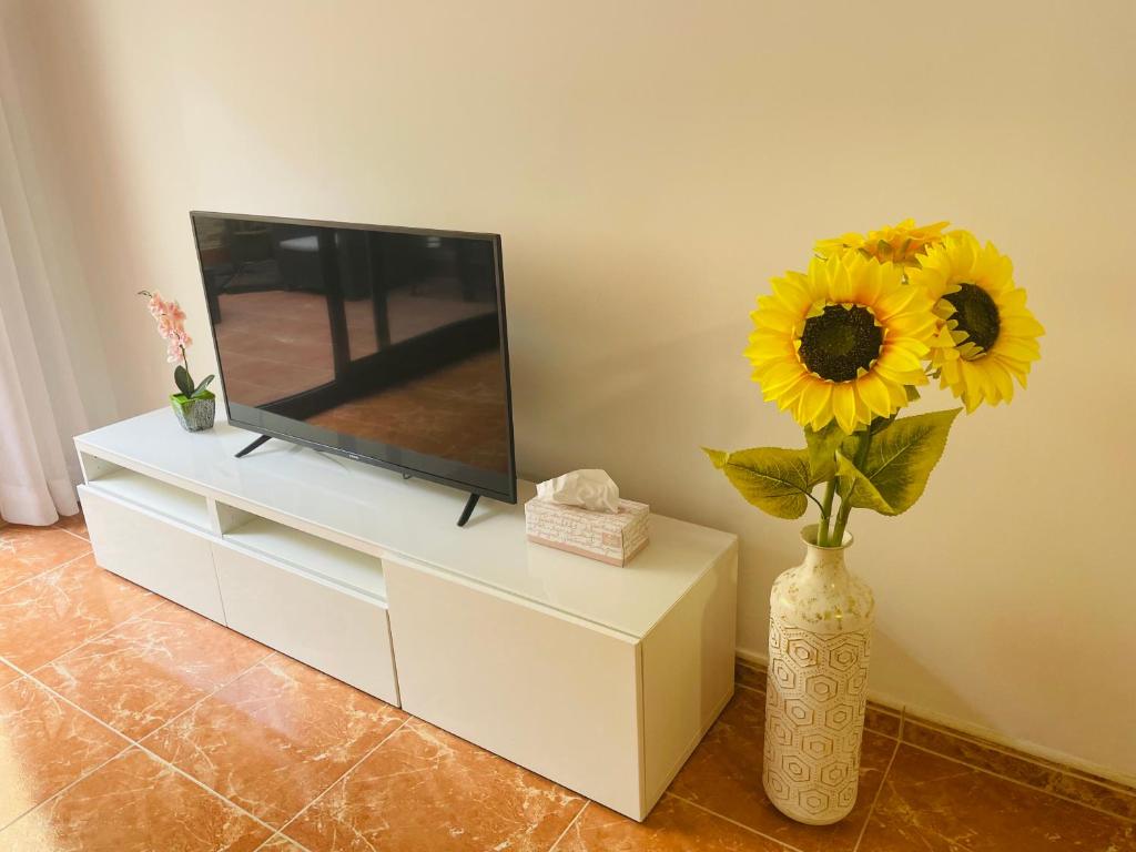 TV a/nebo společenská místnost v ubytování Beach Apartment Artigas