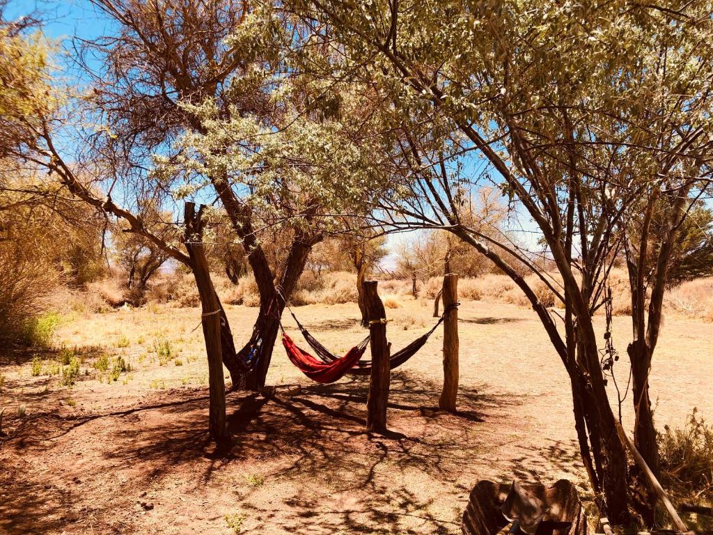 a hammock between two trees in a field at Refugio Andino con vista al volcán. in San Pedro de Atacama