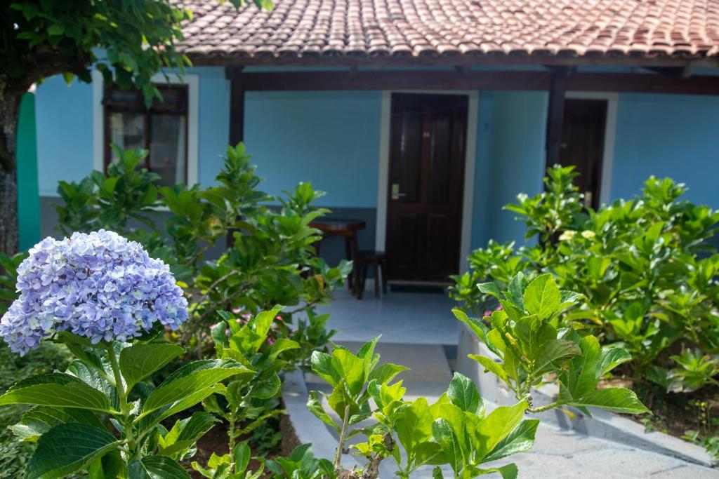 Zahrada ubytování Pousada Casa Rosa