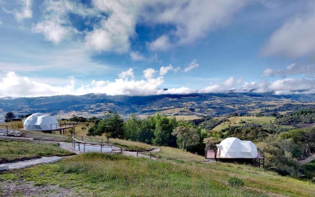 Příroda nedaleko luxury tent