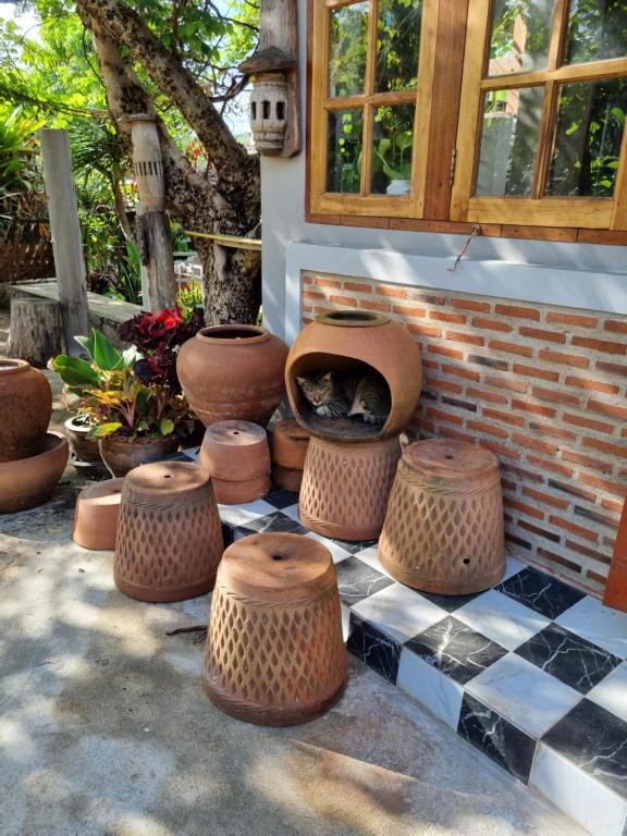 Zahrada ubytování Hello Sichang Bungalow