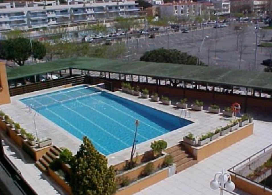 プラヤ・デアロにあるMini-apartament cèntric a Platja d'Aroの大型スイミングプール