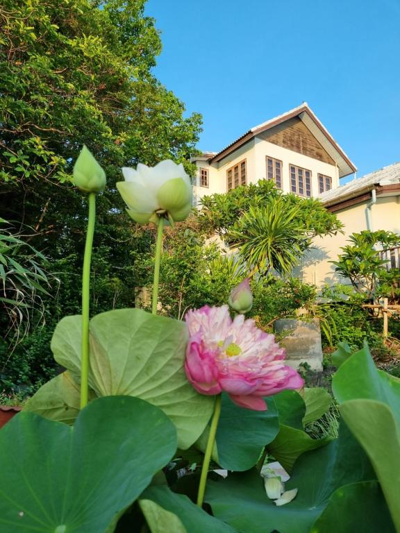 Sawasdee Sichang Resort - Family Room With Sea View