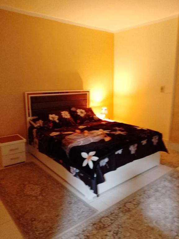 القاهره / مدينة نصر, Cairo (updated prices 2024)