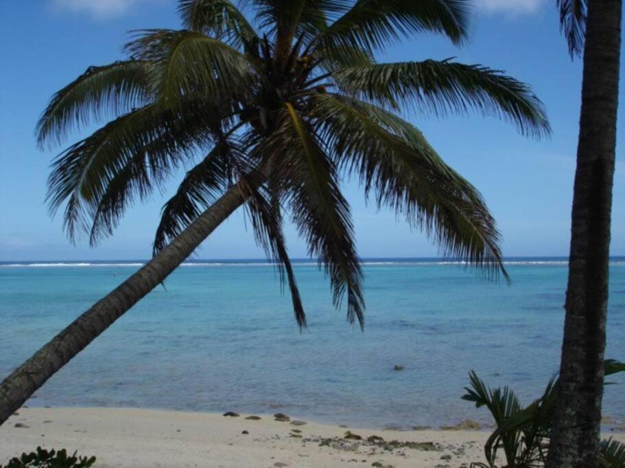 a palm tree on a beach with the ocean at Absolute Beachfront - A Slice of Paradise! in Rarotonga