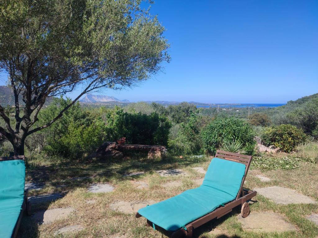 a pair of chairs sitting in a field at Villa Valfrida in San Teodoro