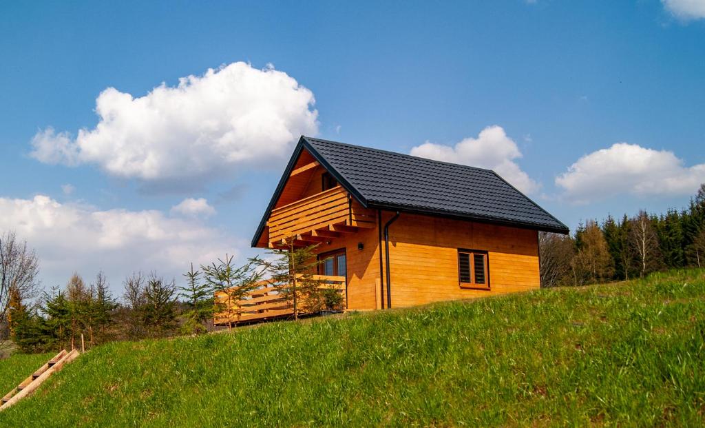 una pequeña cabaña de madera en una colina con césped en Domki w Bartnicy - Góry Sowie en Ludwikowice Kłodzkie