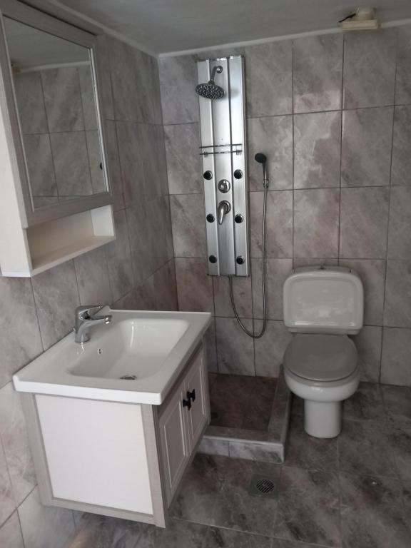 a bathroom with a toilet and a sink and a shower at Konstantina’s House in Paleo Tsifliki