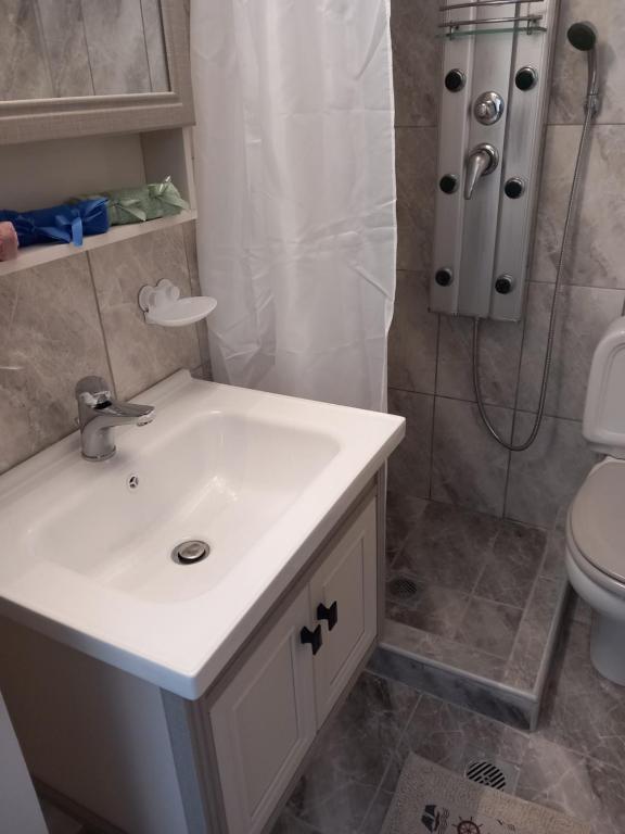a bathroom with a sink and a shower and a toilet at Konstantina’s House in Paleo Tsifliki