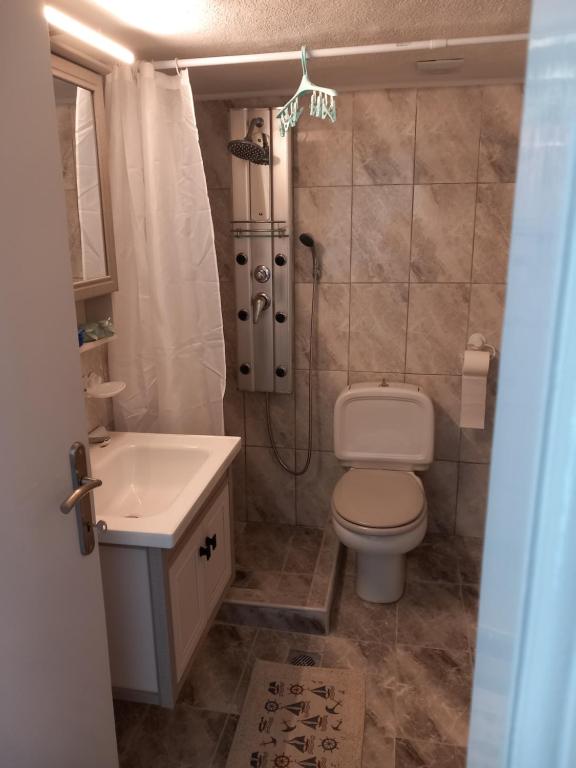 a bathroom with a toilet and a shower and a sink at Konstantina’s House in Paleo Tsifliki
