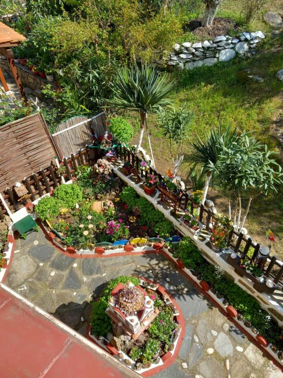a miniature garden with plants and flowers in a yard at Konstantina’s House in Paleo Tsifliki