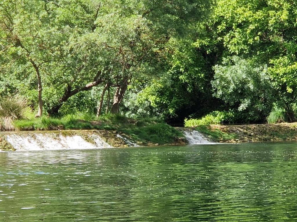 um rio com uma cascata junto a uma floresta em Mon beau village em Lecques