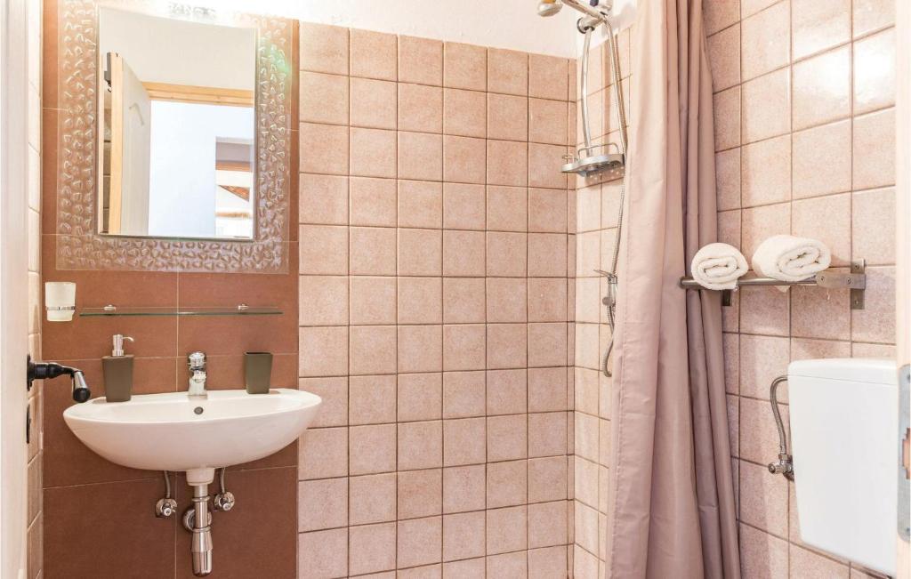 Koupelna v ubytování 4 Bedroom Pet Friendly Home In Zminj