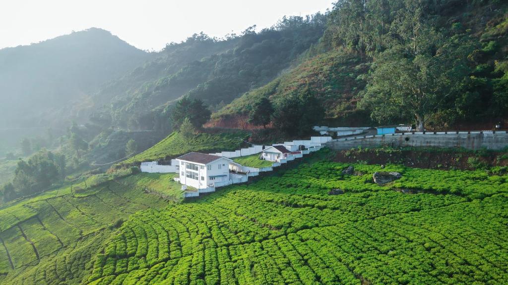 a village on a hill in a tea plantation at lynfields leisure in Ooty