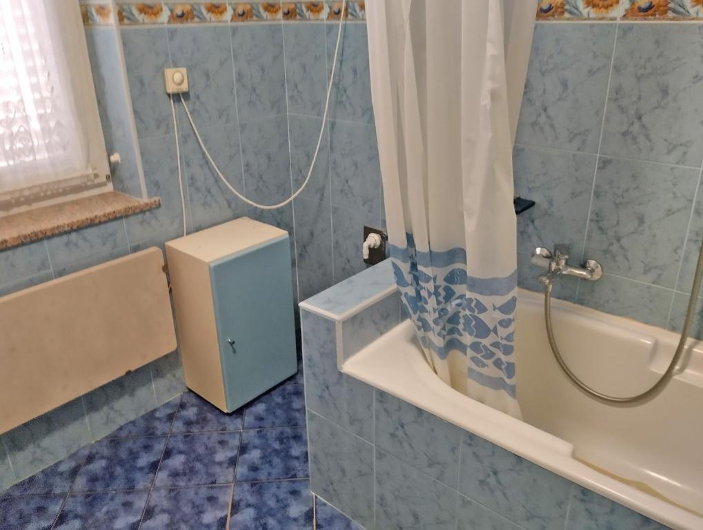 Kúpeľňa v ubytovaní Apartment Danica 356