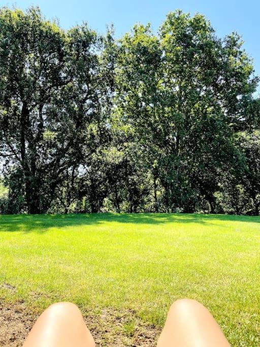 Vonkajšia záhrada v ubytovaní Villa El Rodal