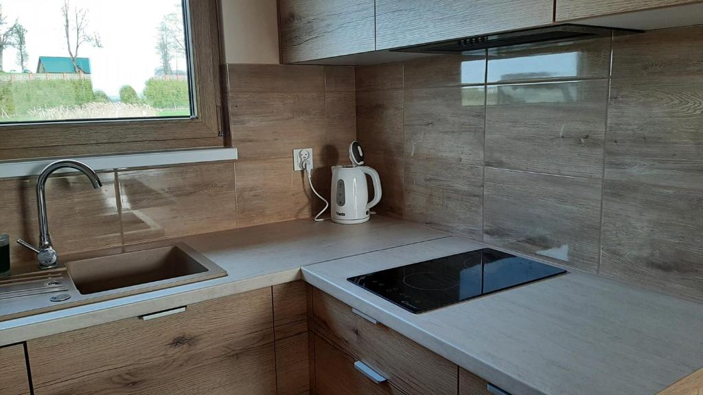 uma cozinha com um lavatório e uma bancada em DOMKI NAD ŁOWISKIEM em Giżycko