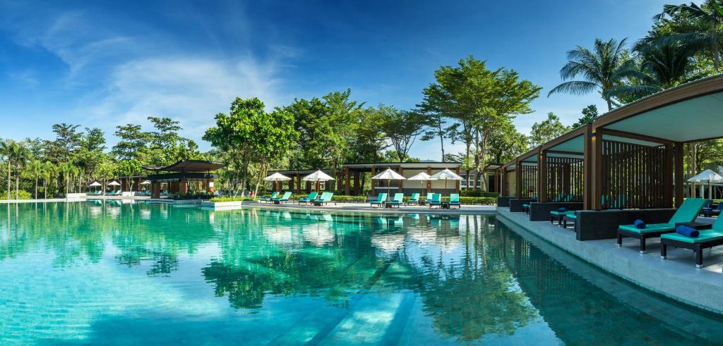 Dusit Thani Krabi Beach Resort - SHA Extra Plus في كلونغ موانغ بيتش: مسبح في منتجع والكراسي الزرقاء والاشجار
