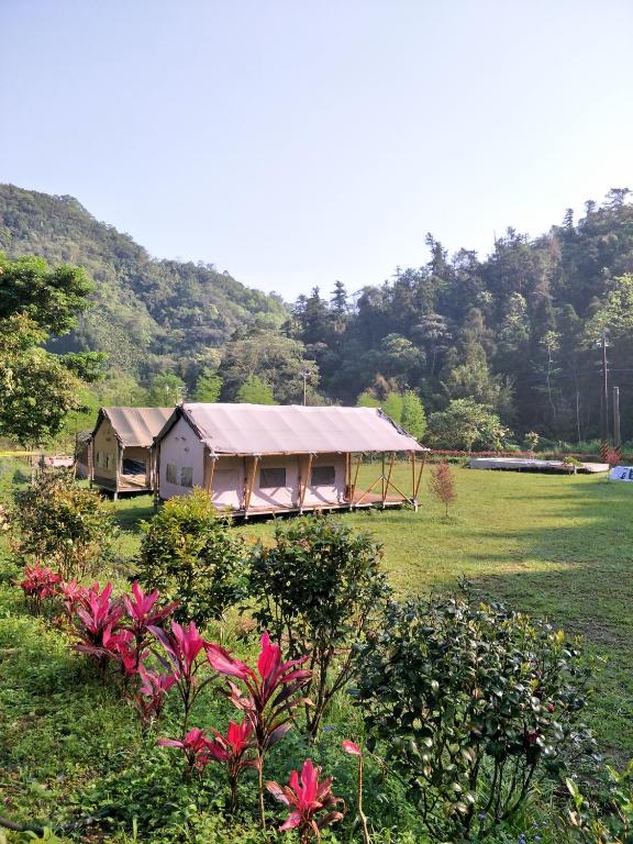 Příroda nedaleko luxury tent