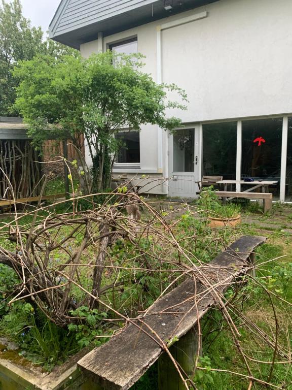 Zahrada ubytování GETGYR Hostel
