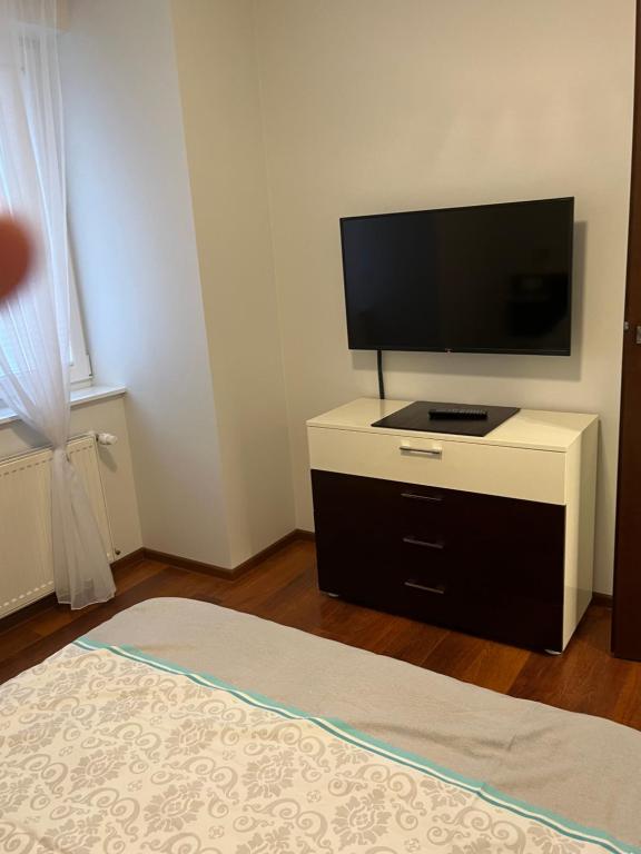 Televízia a/alebo spoločenská miestnosť v ubytovaní Apartament Esensja II