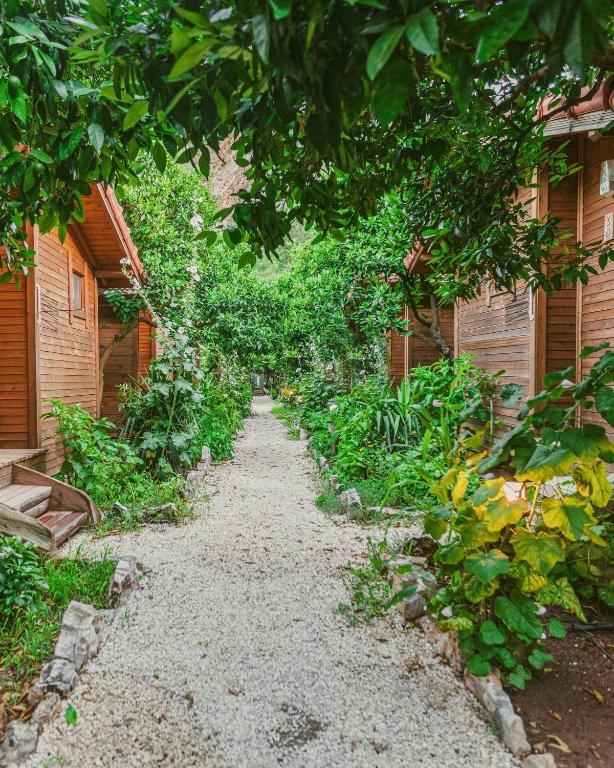 a gravel path between two buildings with trees at Sheriff, Olympos in Kumluca