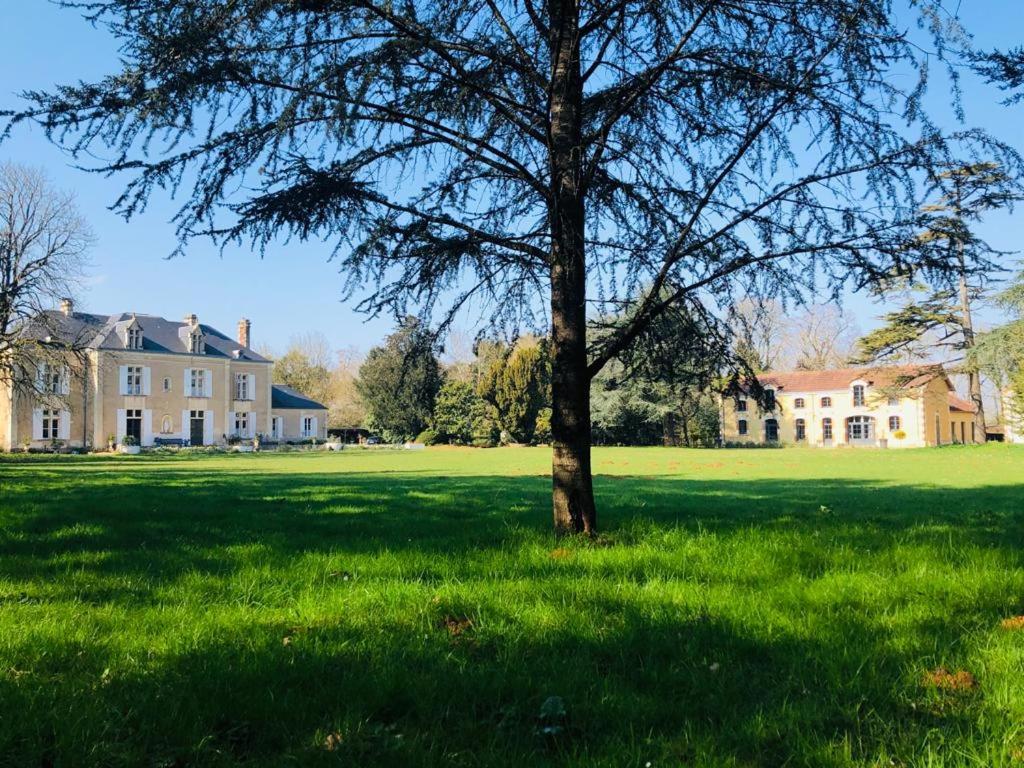 un árbol en un campo frente a una casa grande en CHAMBRE CABANE à partir de 8 ans, en Sainte-Gemme-la-Plaine