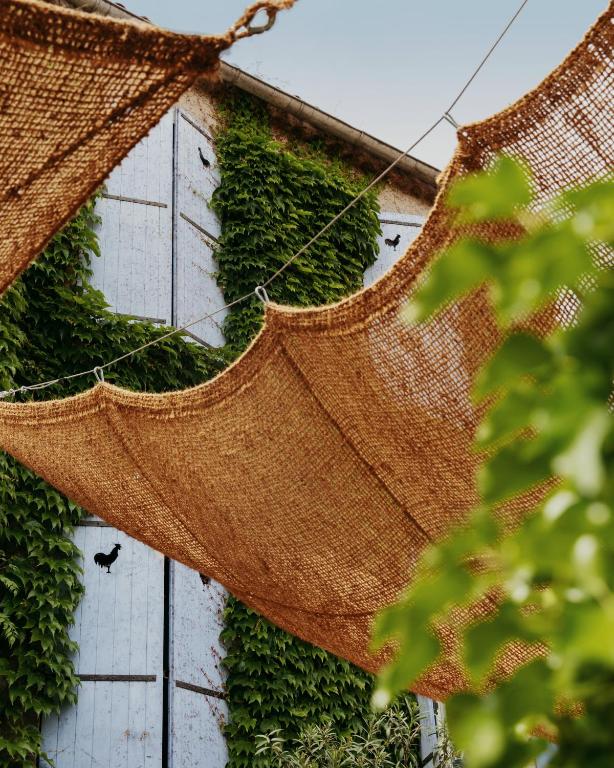 Zahrada ubytování Coq Hotel