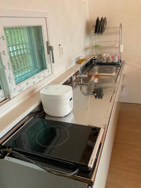Kuchyň nebo kuchyňský kout v ubytování Guesthouse Comfort Place