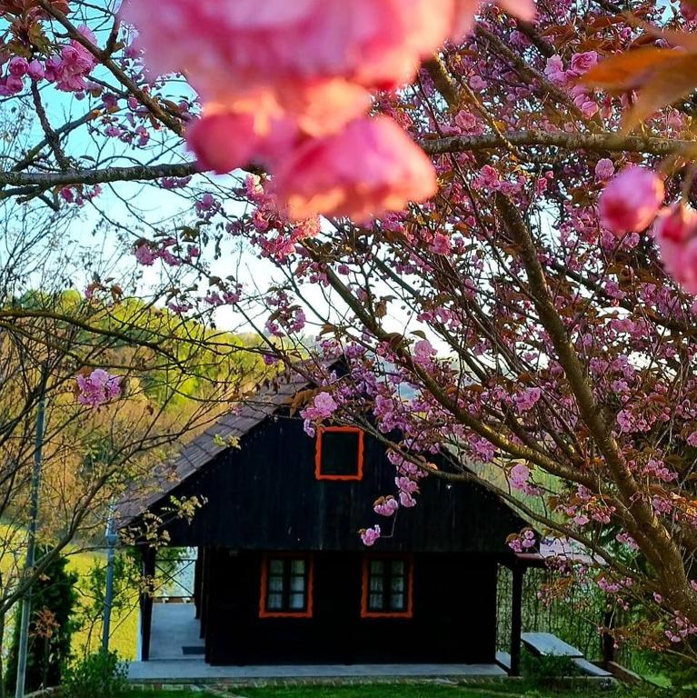 Vonkajšia záhrada v ubytovaní Ruralna kuća za odmor Estera