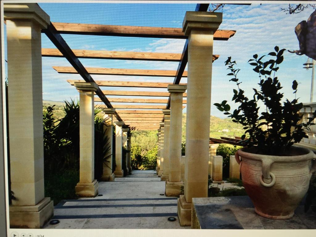 a walkway with a large potted plant in a pot at Villa Rosina in Noto