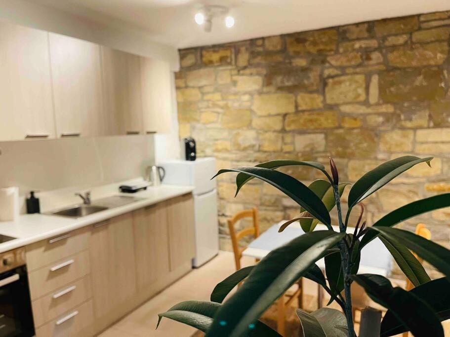 a kitchen with a plant in front of a stone wall at Santomas apartments in Šmarje