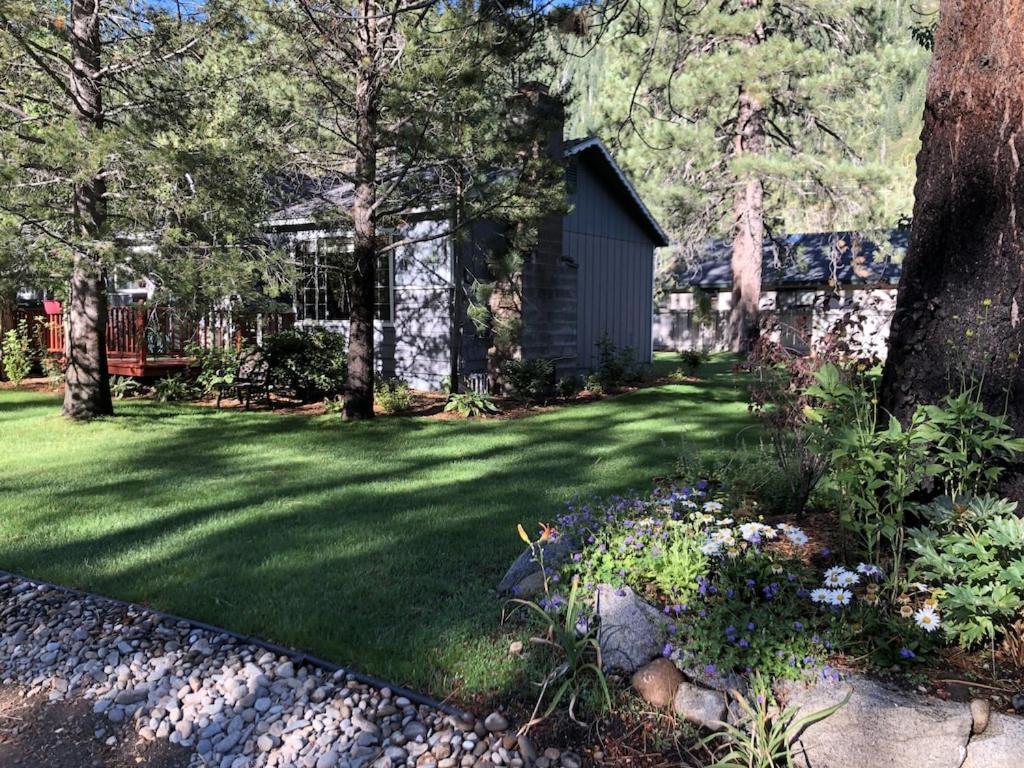 a yard with green grass and trees and a house at Tahoe Cottage perfect for couples and outdoor enthusiasts in South Lake Tahoe